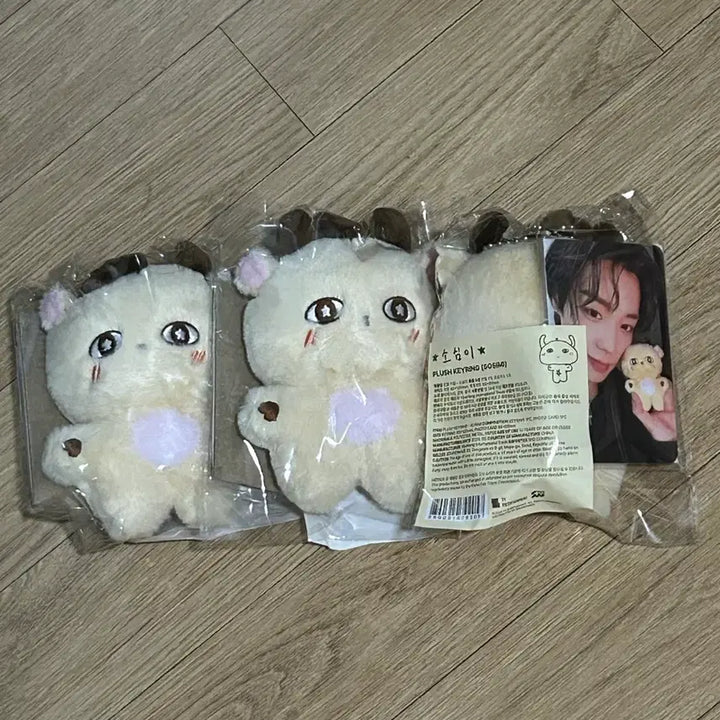 [SOLD OUT] 박지훈 소심이 미개봉 원가 양도
