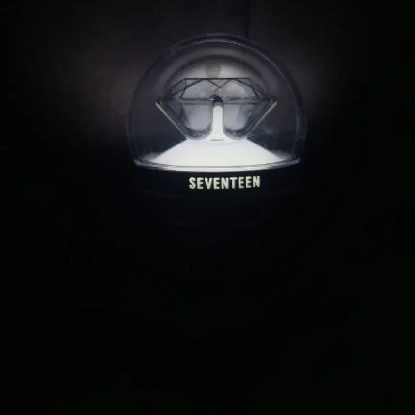 [BUNJANG] SEVENTEEN Carat Bong Newt Bong / 세븐틴 캐럿봉 뉴뉴럿봉