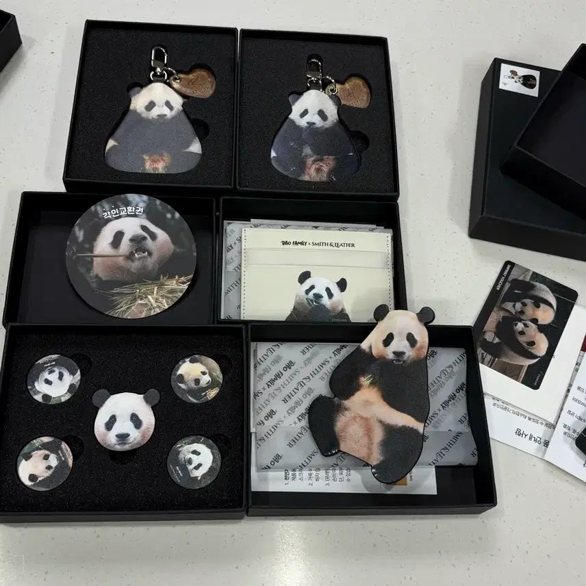 [BUNJANG] FuBao x 8seconds Smith Bundle Set / 푸바오 에잇세컨즈 스미스 일괄