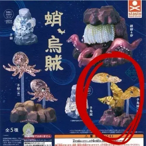 [BUNJANG] New Squid Diorama Gacha Toy - Sealed / 신상 오징어 디오라마 가챠 미개봉