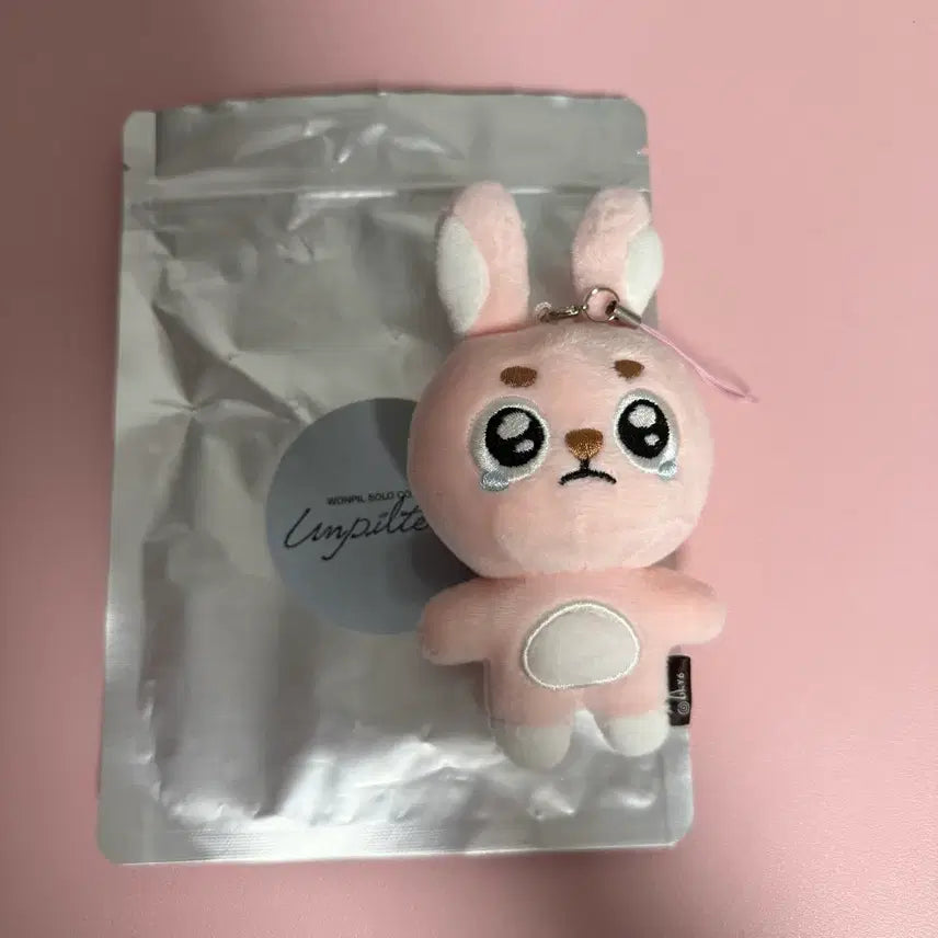 [BUNJANG] Day6 Wonpil Concert Unfiltered MD Denimals Ppuengpil Filkki / 데이식스 원필 콘서트 언필터드 엠디 데니멀즈 뿌엥필 필끼