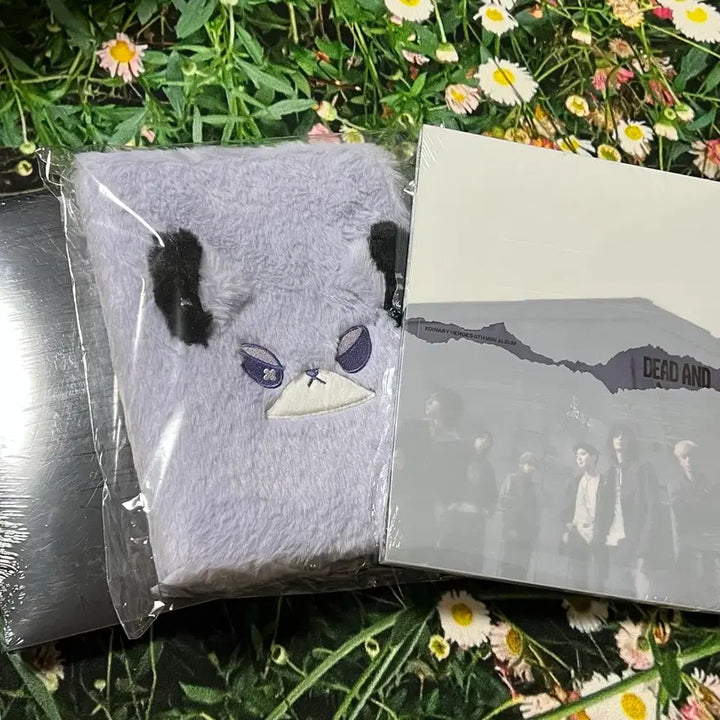 [BUNJANG] Xdinary Heroes Dead End Album Set Photocard Binder / 엑스디너리히어로즈 폭드 포토바인더 데드앤드앨범 세트 엑디즈 포토카드 오드 승민