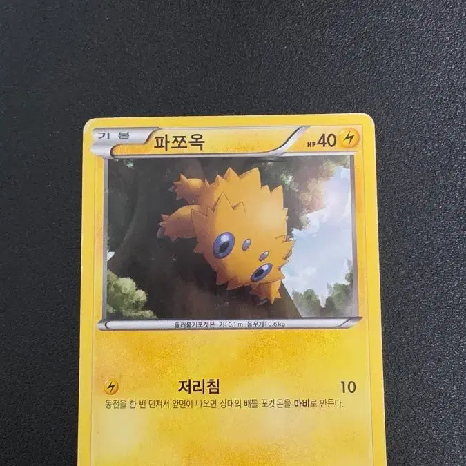 [BUNJANG] Pokemon Card Paciok FS / 포켓몬 카드 파쪼옥 fs