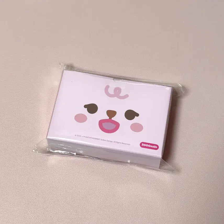 [BUNJANG] Day6 Young K (Wonpil) Portable Charger / 데이식스 필 보조배터리