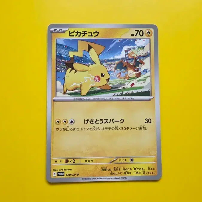 [BUNJANG] Pokemon Card Pikachu 2023 Gym Promo S-Grade / 포켓몬카드 피카츄 짐프로모 s-급 2023