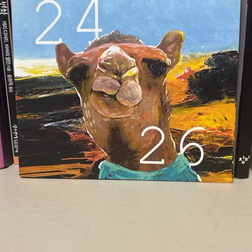 [SOLD OUT] 빈지노 2426판매