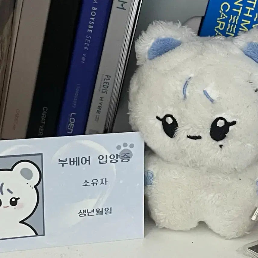 [BUNJANG] SEVENTEEN Bungeo Bread Doll SeungKwan / 세븐틴 부베어 양도 승관 인형