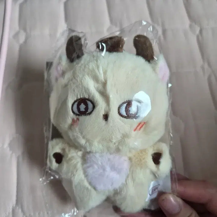 [BUNJANG] Park Ji Hoon So-simi Doll (Sealed) / 소심이 인형 박지훈 양도