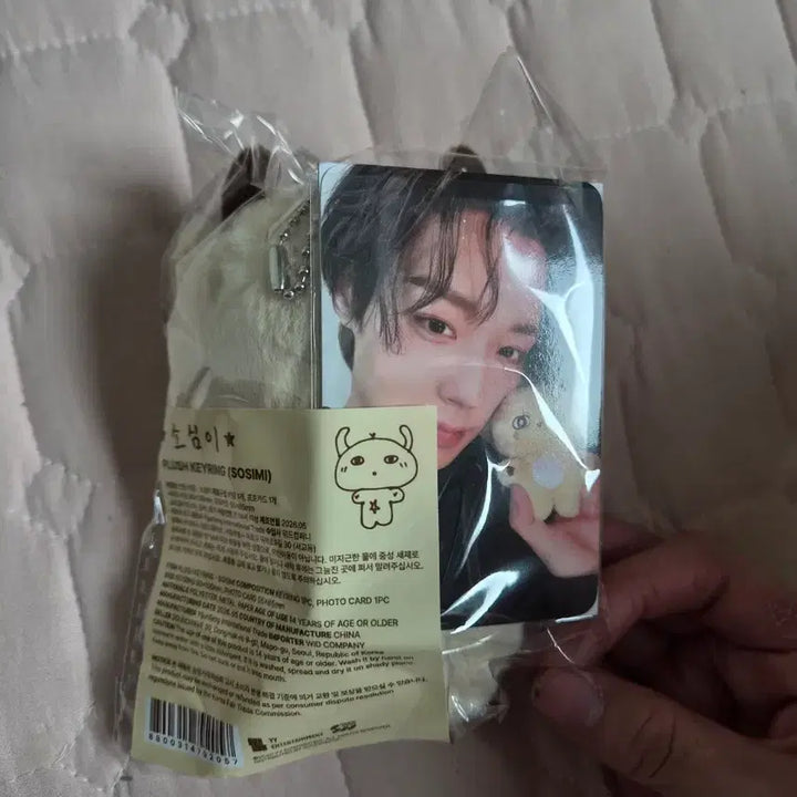 [BUNJANG] Park Ji Hoon So-simi Doll (Sealed) / 소심이 인형 박지훈 양도