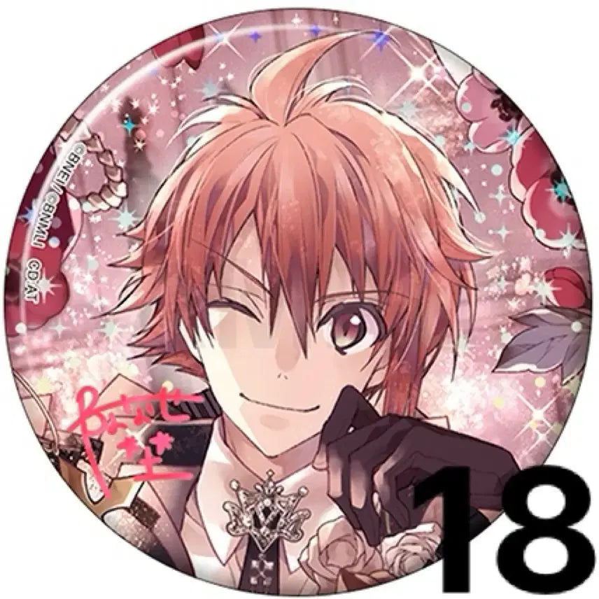 [BUNJANG] I7 10th Anniversary Can Badge Riku Set (18 pcs) / 아이나나 10주년 캔뱃지 리쿠 18개