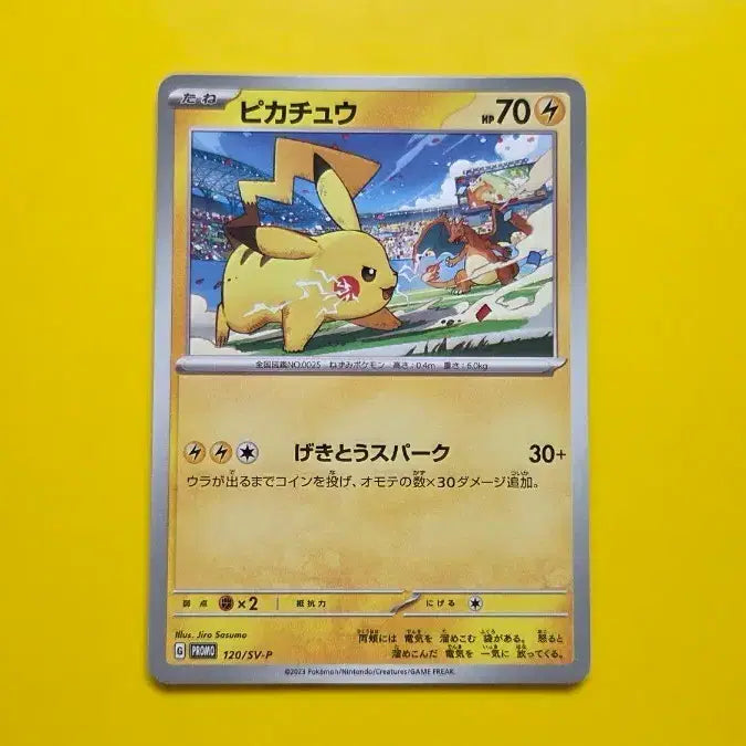 [BUNJANG] Pokemon Card Pikachu Gym Promo S-Grade 2023 / (이벤트)포켓몬카드 피카츄 짐프로모 s급 2023