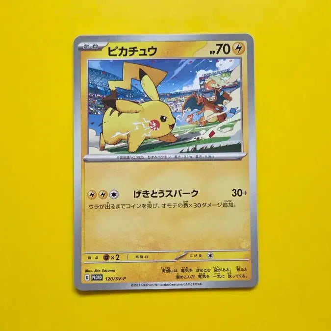 [BUNJANG] Pokemon Card Pikachu Gym Promo S-Grade 2023 / (이벤트)포켓몬카드 피카츄 짐프로모 s급 2023