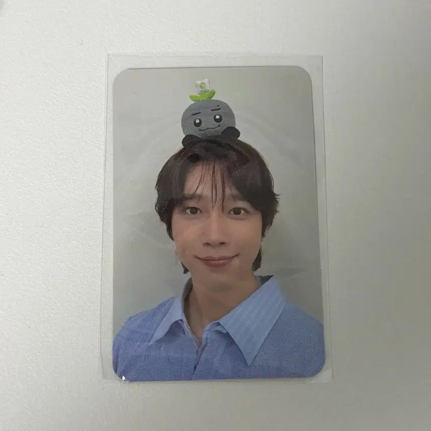 [BUNJANG] N.Flying Seo Dong Sung "Dong Meng" Photocard / 엔플라잉 서동성 동멩이 포카