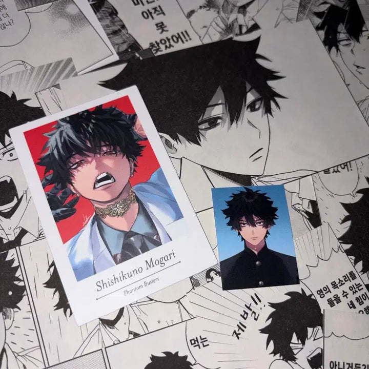 [BUNJANG] Phantom Busterz Shishikuno Mogari Cheki, Instant Photo, Scrapbook Set / 팬텀버스터즈 시시쿠노 모가리 체키 증사 스크랩 팬버스