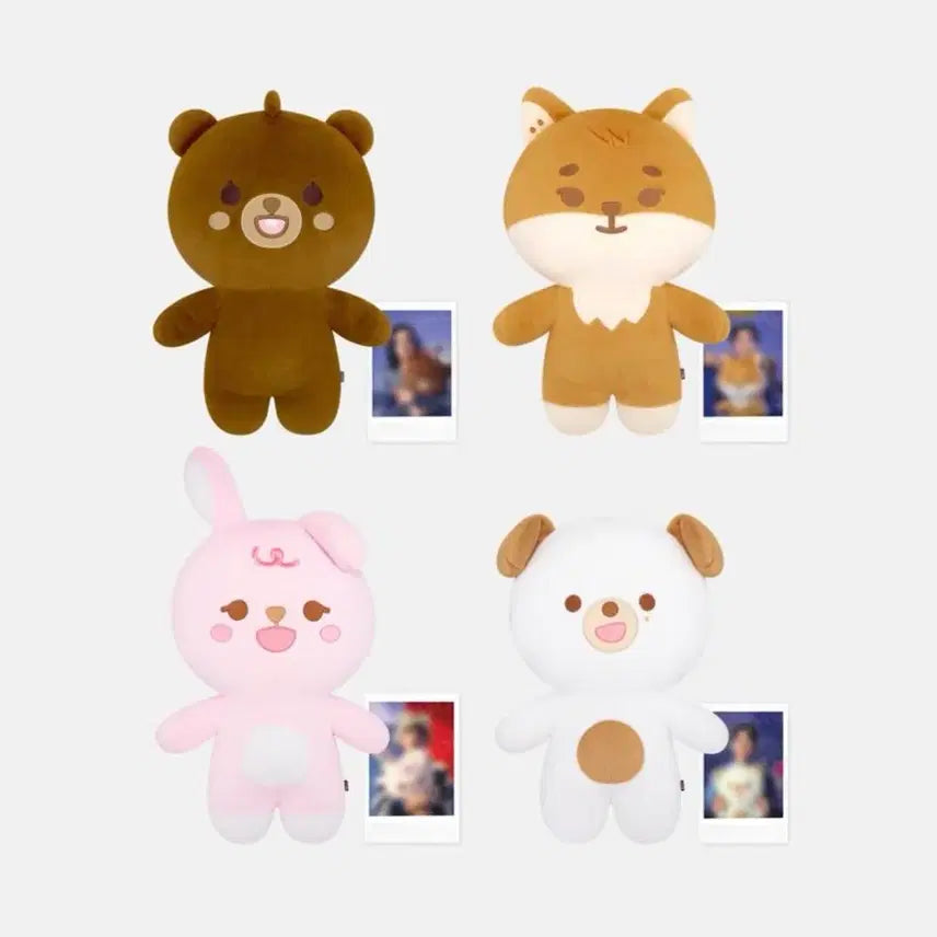 [BUNJANG] DAY6 Giant Petit Merz Bundle Set / 데이식스 자이언트 쁘띠멀즈 자쁘멀 일괄 원가양도