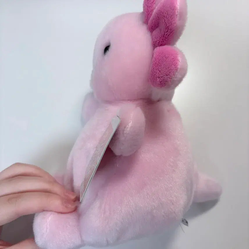 [BUNJANG] Palmpals Axolotl Plush / 팜팔스 우파루파 인형