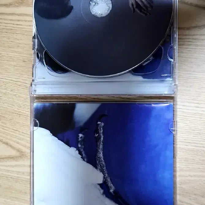 [BUNJANG] Verbal Jint Nemyung CD / 버벌진트 누명 CD
