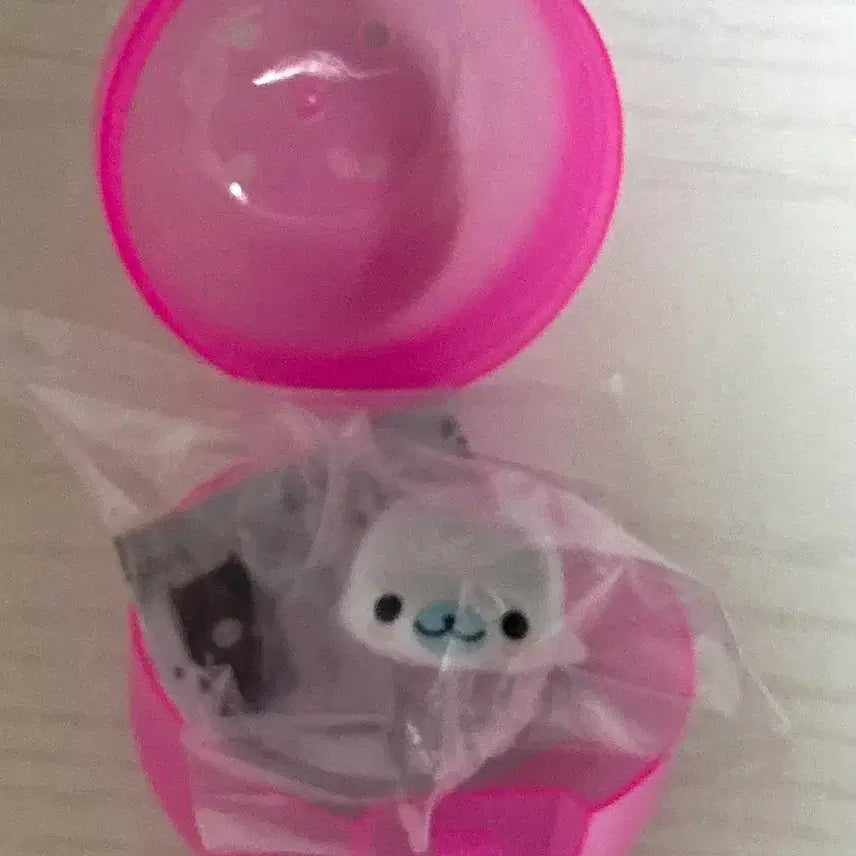 [BUNJANG] Mamegoma Figure Gacha Sealed / 미개봉 마메고마 피규어 가챠 팔아요!!