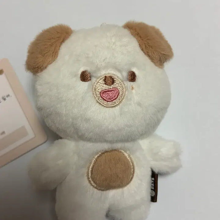 [BUNJANG] Day6 Young K 10cm Plush Doll / 데이식스 쁘띠멀즈 돈 10cm