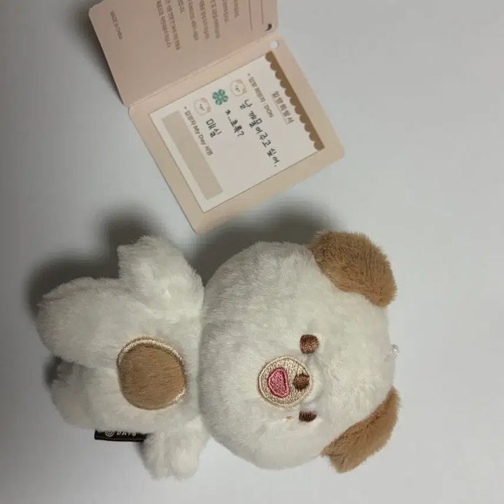 [BUNJANG] Day6 Young K 10cm Plush Doll / 데이식스 쁘띠멀즈 돈 10cm