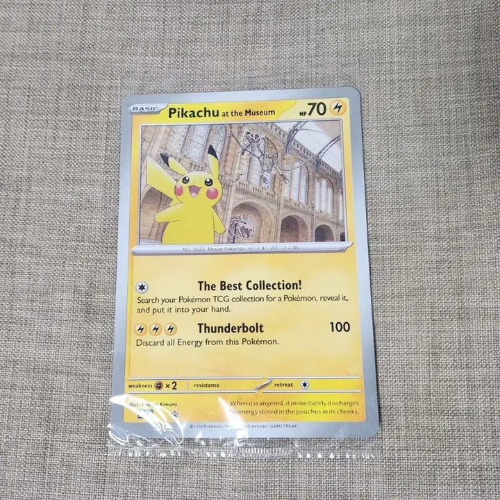 [BUNJANG] Pokemon Museum Pikachu Figure / 포켓몬스터 박물관 피카츄 판매합니다.