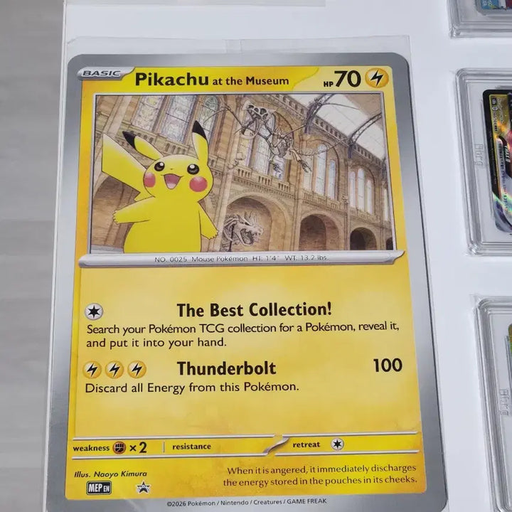 [BUNJANG] Pokemon Museum Pikachu Figure / 포켓몬스터 박물관 피카츄 판매합니다.