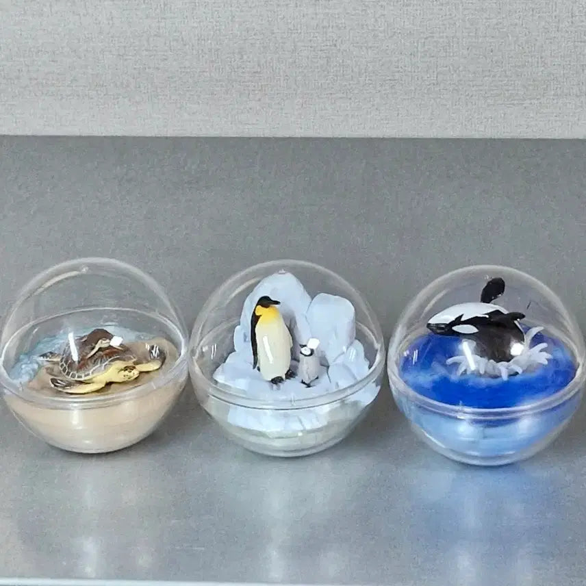 [BUNJANG] Marine Life Terrarium Gacha Turtle Penguin Orca Bundle Set / 일괄) 해양생물 테라리움 가챠 거북이 펭귄 범고래