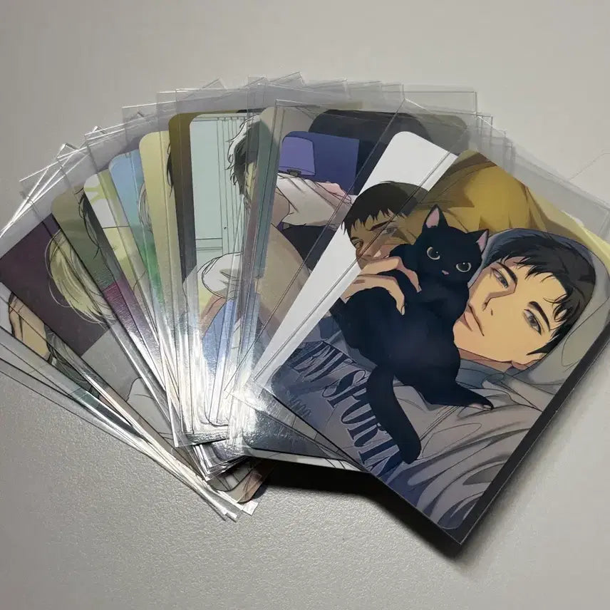 [BUNJANG] Backlight Collection Photocard Set / 백라이트 컬렉션 포토카드 드볼, 올클 컬포
