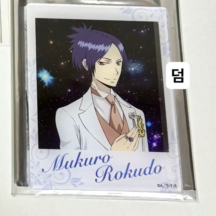 [BUNJANG] Katekyo Hitman Reborn! Rokudo Mukuro Photocard / 가히리 가정교사히트맨리본 로쿠도 무쿠로 포카 이상하게 웃긴 인형