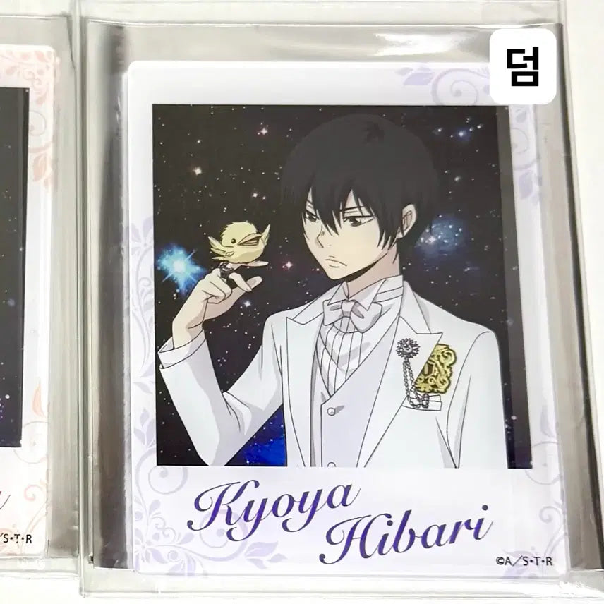 [BUNJANG] Hibari Kyoya Photocard / 가히리 가정교사히트맨리본 히바리 쿄야 포카 이상하게 웃긴 인형