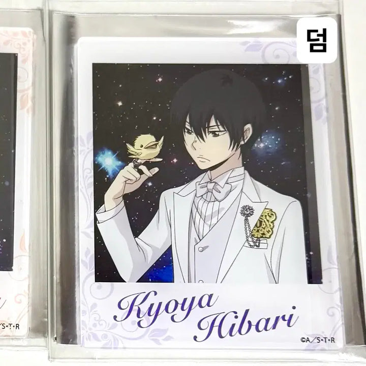 [BUNJANG] Hibari Kyoya Photocard / 가히리 가정교사히트맨리본 히바리 쿄야 포카 이상하게 웃긴 인형