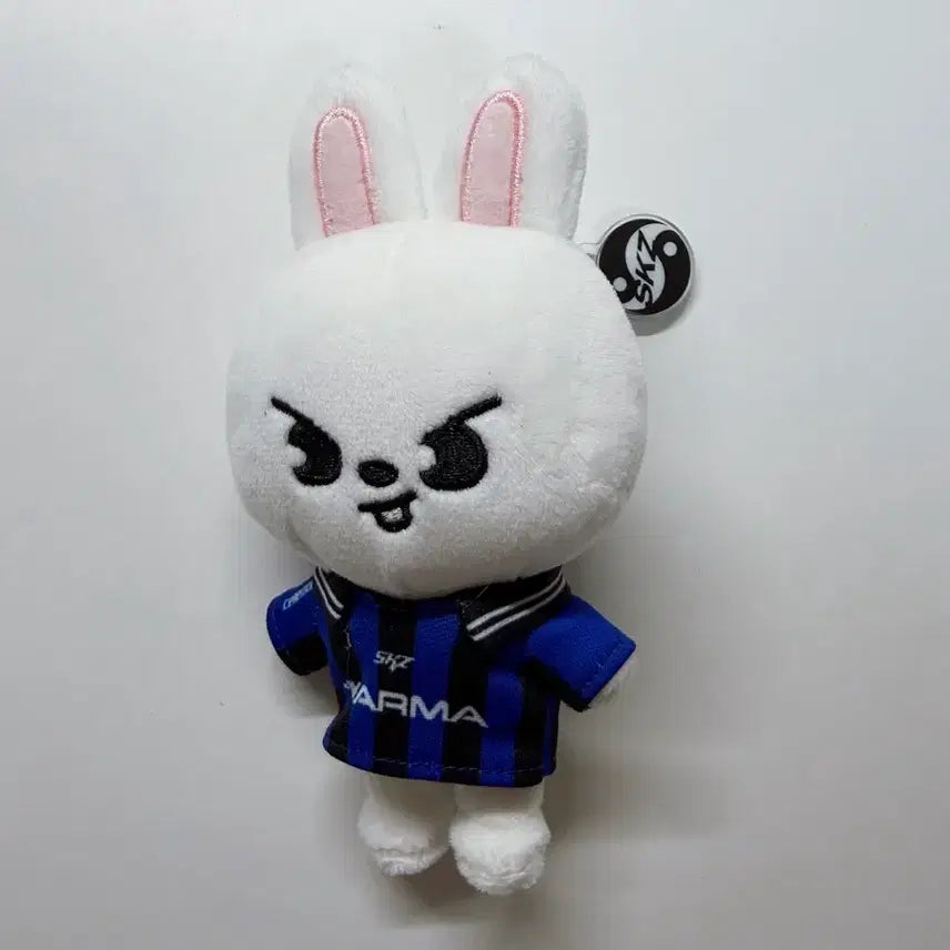 [BUNJANG] Stray Kids Karma Album Keyring / 스트레이키즈 카르마 앨범 리빗