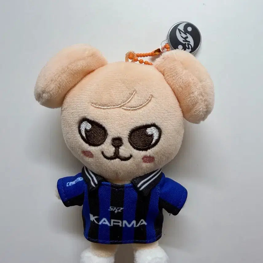 [BUNJANG] Stray Kids Karma Album Keyring / 스트레이키즈 카르마 앨범 퍼핌