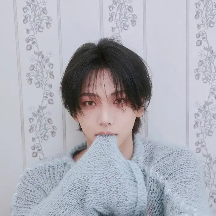 [BUNJANG] Pneukdo &