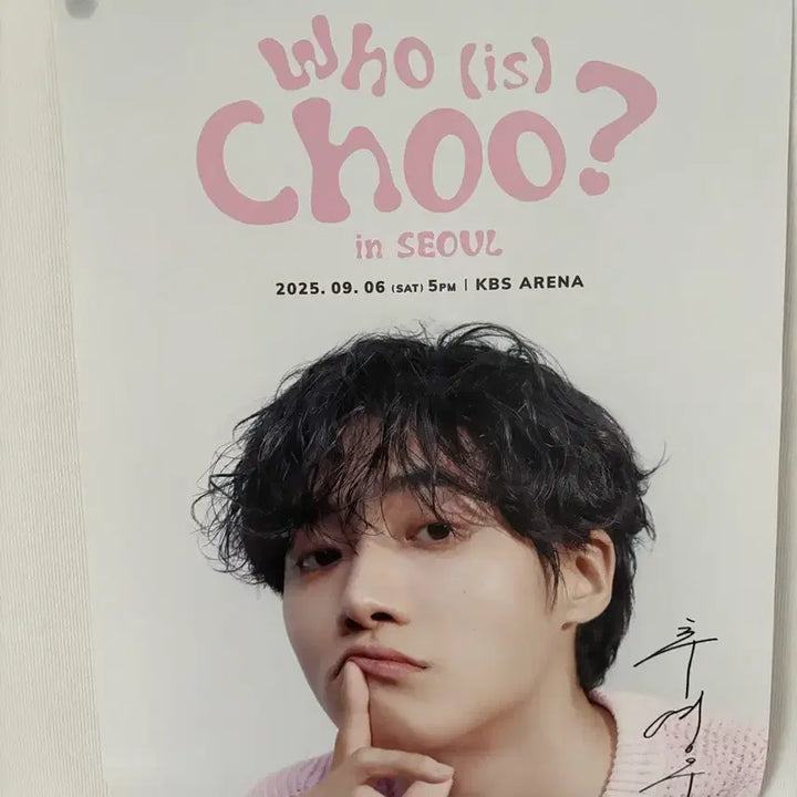 [BUNJANG] Choo Youngwoo Fanmeeting Poster Bundle / 추영우 포스터 등등