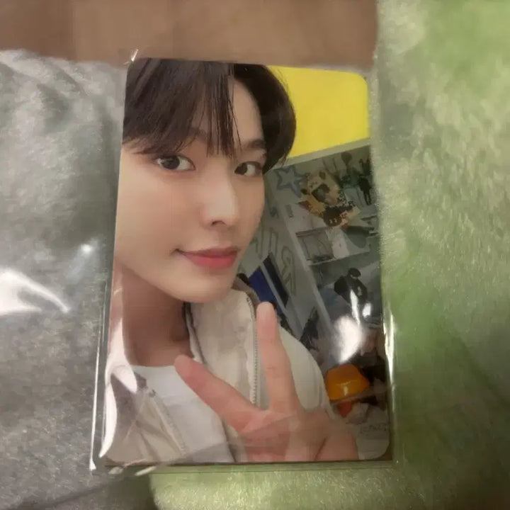 [BUNJANG] Wichu Cushion Riku Photocard (Sealed) / 위츄 쿠션 미개봉 리쿠 포카
