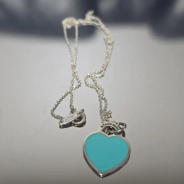 [BUNJANG] Tiffany &amp; Co. Return to Heart Mint Small Charm + Chain Necklace / 티파니앤코 리턴투하트 민트 스몰참+체인 목걸이