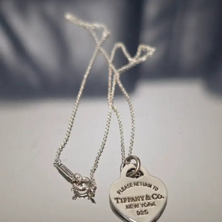 [BUNJANG] Tiffany &amp; Co. Return to Heart Mint Small Charm + Chain Necklace / 티파니앤코 리턴투하트 민트 스몰참+체인 목걸이