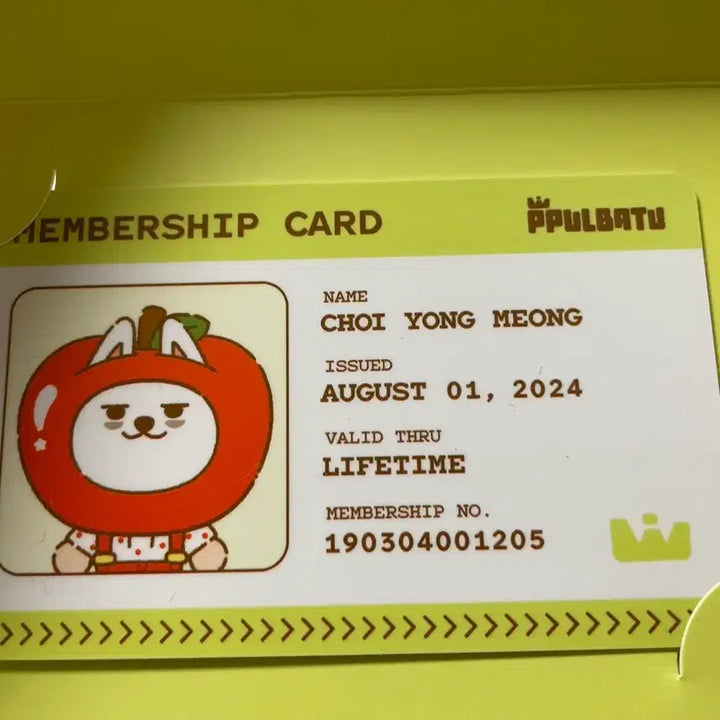 [BUNJANG] Apple Beat Pop-Up Choi Yongmong ID Card / 애뿔바투 팝업 최용멍 아이디카드 양도