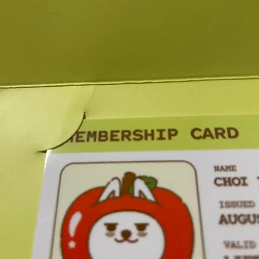 [BUNJANG] Apple Beat Pop-Up Choi Yongmong ID Card / 애뿔바투 팝업 최용멍 아이디카드 양도
