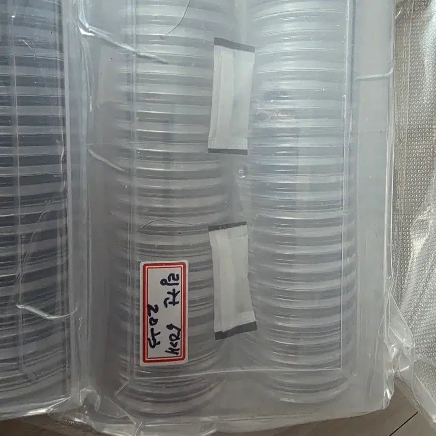 [BUNJANG] Lincoln Penny Collection (Uncirculated, 2013) - 50 pcs / 2013년미사용링컨페니(진공작업)50개