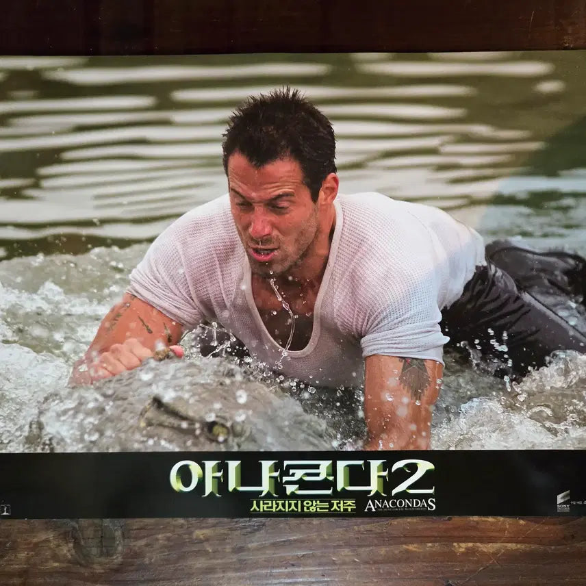 [BUNJANG] Anaconda 2 Vintage Movie Lobby Still &amp; Flyer Set / 아나콘다2 / 영화자료/고전희귀>영화홍보 극장로비스틸