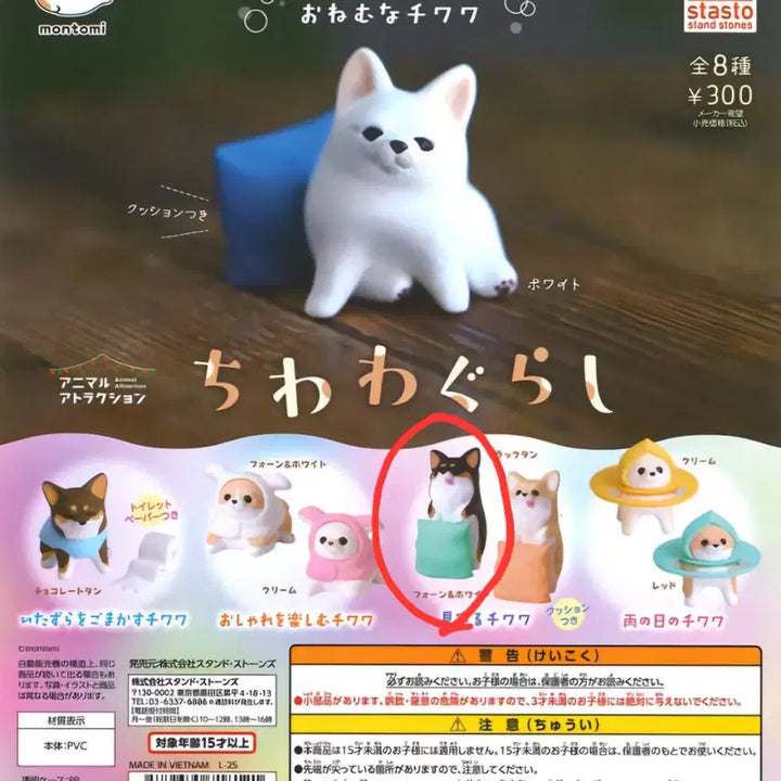 [BUNJANG] Sealed Chihuahua Gurashi Gacha Figure / 미개봉) 치와와 구라시 가챠 판매