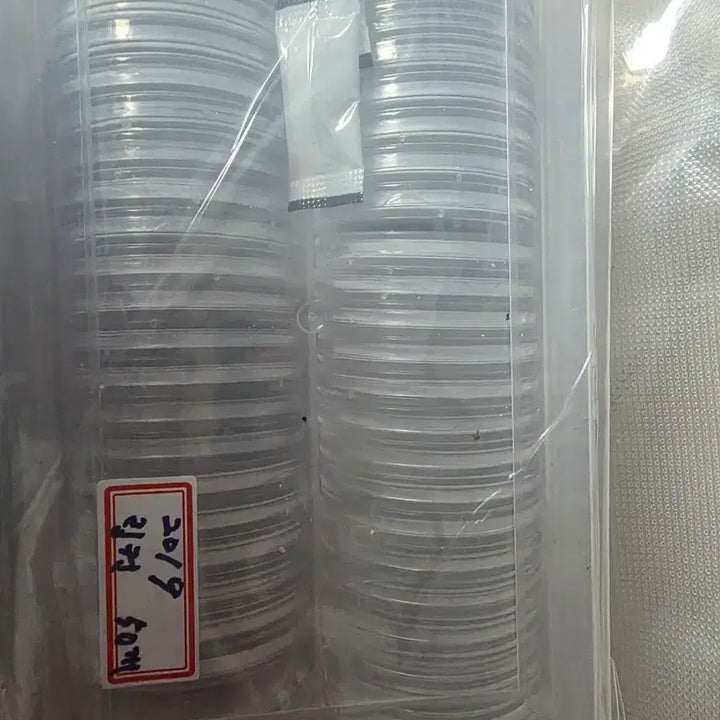 [BUNJANG] Unused 2019 Penny Collection (50 pieces) / 2019년미사용페니 (50개