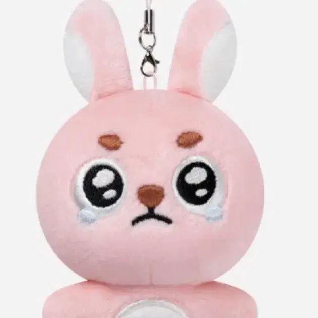 [SOLD OUT] 데이식스 원필 뿌앵필 울먹필 필끼
