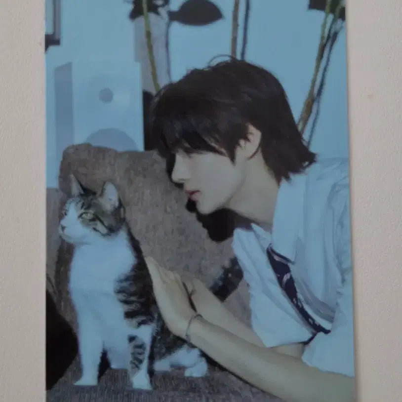 [BUNJANG] TWS Hajimemashite Hanjin Photocard / TWS 하지메마시테 한진포카