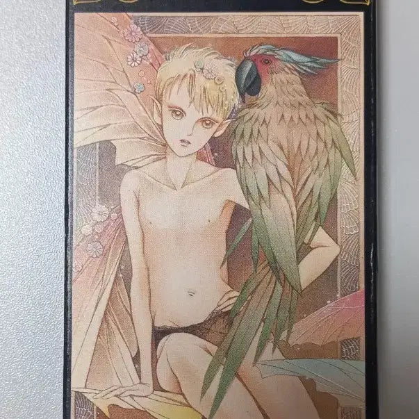 [SOLD OUT] [28일까지 이틀간만 할인판매] 시미즈레이코 미라클타로 22장 메이져