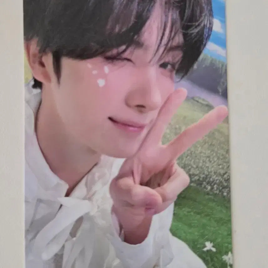 [BUNJANG] TWS NO TRAGEDY Showcase Youngjae Photocard / TWS 컴백 Showcase &
