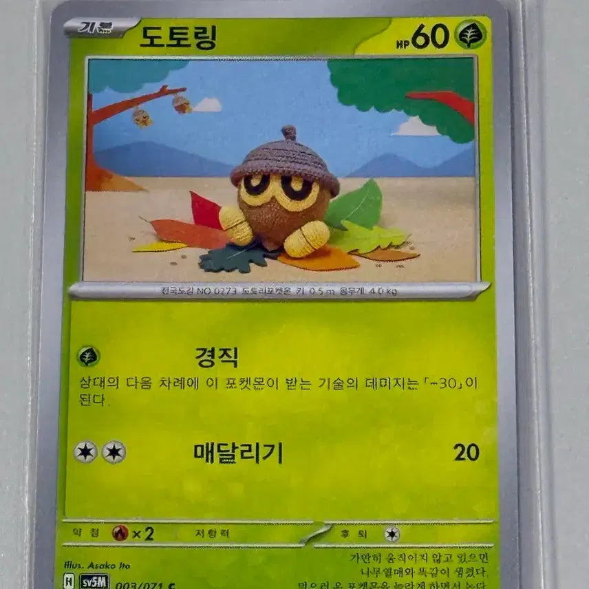 [BUNJANG] Pokemon Card Dotoring / 포켓몬카드 도토링