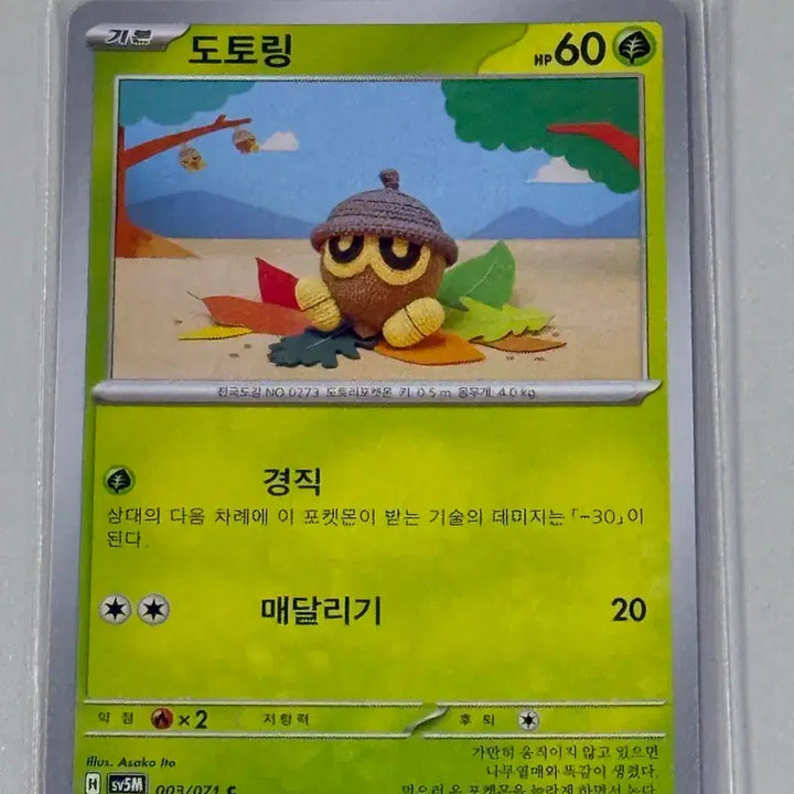 [BUNJANG] Pokemon Card Dotoring / 포켓몬카드 도토링
